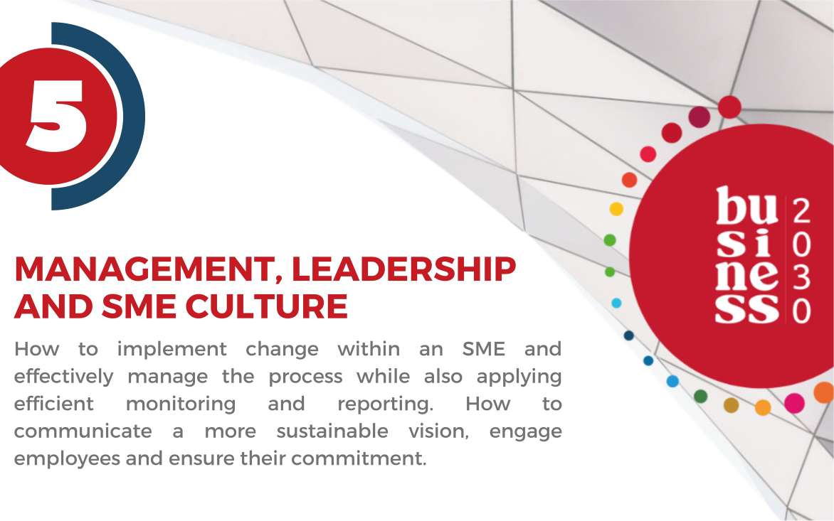 5. Management, leadership and SME culture